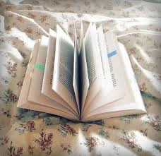 Profile Photo of muskaanreddy15