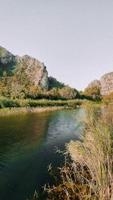 Profile Photo of mytaras469