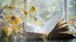 Profile Photo of nehareddy00