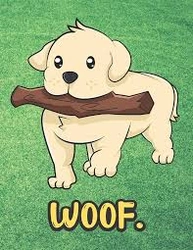 Profile Photo of noa_news