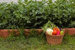 Profile Photo of oliver_shame