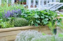 Profile Photo of plantculture05