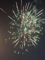 Profile Photo of rmia756