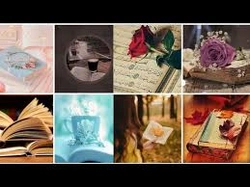 Profile Photo of saloniyadav01