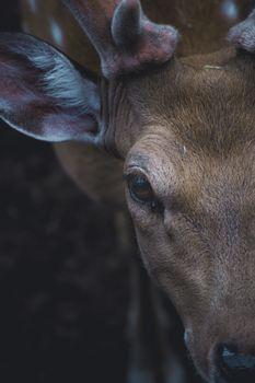 Profile Photo of smithc_586