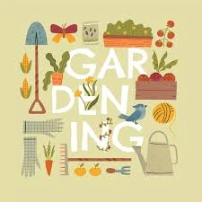 Profile Photo of techplants05