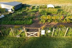 Profile Photo of techroots07