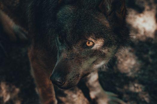 Profile Photo of terra_jayanth_5