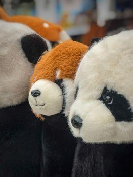Profile Photo of unbox_hudson_61