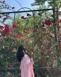 Profile Photo of zoya_ribbons_v