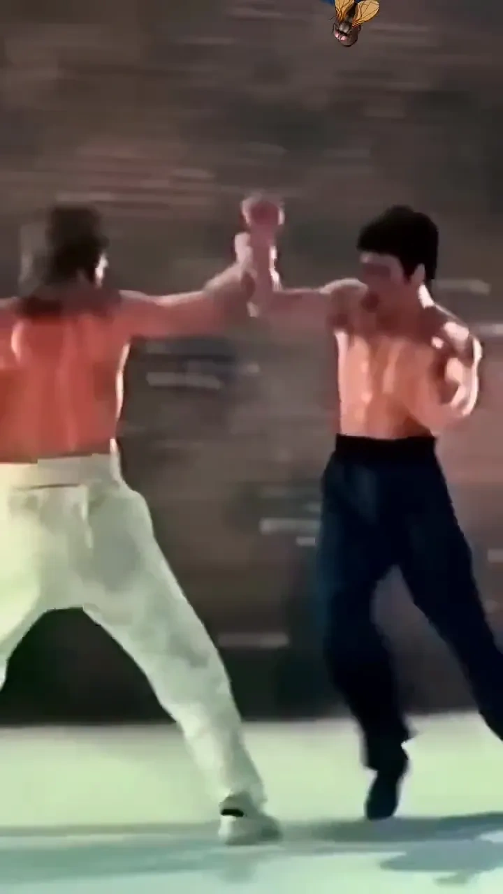 Bruce lee vs chuck norris 

A quick look at Bruce Lee's techniques, philosophy, and legacy.

#BruceL